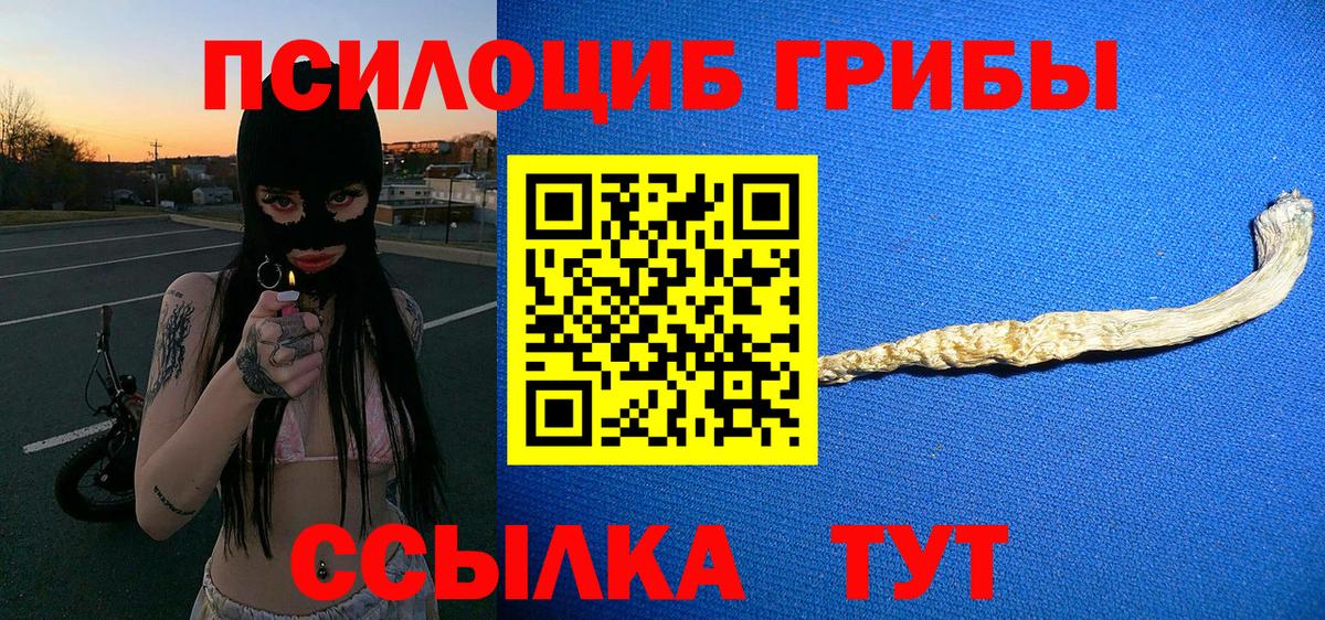 Псилоцибиновые грибы Psilocybine cubensis  Вход с VPN  Моздок 
